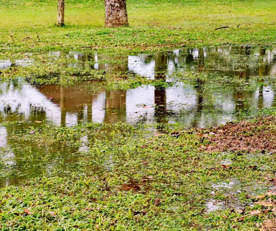 Stormwater Drain Solutions in Wollongong: Causes Explained