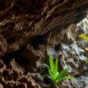 Belizean Caves: Exploring Archaeology, Climate, and Wildlife