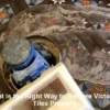 Victorian Tiles Restoration Guide: Steps to Revive Your Home