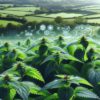 Herbs for Hair Shine: Top UK Selections for Luscious Locks