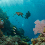Belize Barrier Reef: Your 2025 Snorkelling and Diving Paradise