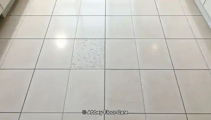 Grout Sealing Methods for Enhanced Durability and Protection