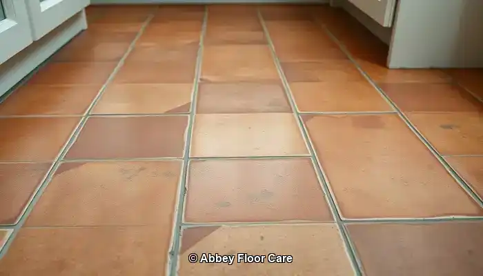 Understanding the Factors Behind Rapid Dirt Build-Up on Terracotta Floors