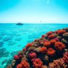 Belize Travel Guide: Essential Location Information Inside