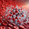 Ferritin Blood Test Insights for Iron Levels in Southampton