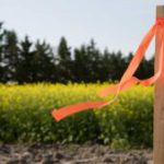 Subdivision Surveys: Essential Guide for Clyde North Land Division