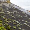 Slate Roof Cleaning Tips for Homeowners in Sydney
