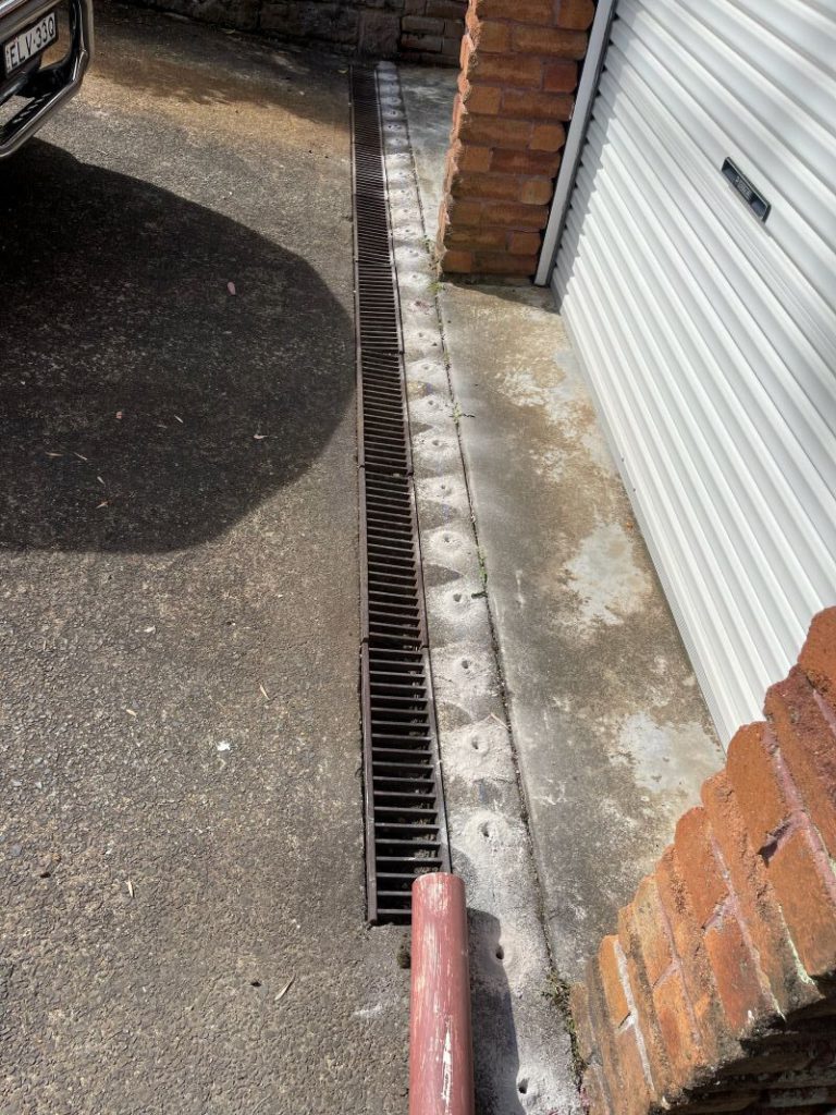 Termite Protection: Identifying Coverage for Your Home