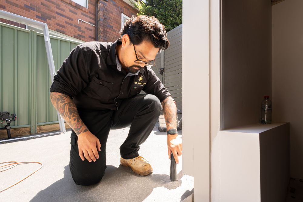 Termite Barrier Inspection