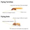 Flying Termites: Their Importance and How to Address Them